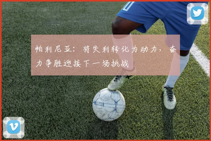 帕利尼亚：将失利转化为动力，奋力争胜迎接下一场挑战